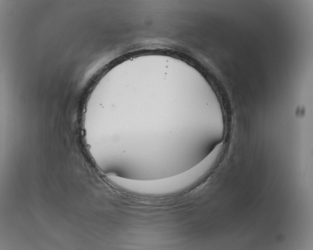 X0000111881261200908201249
