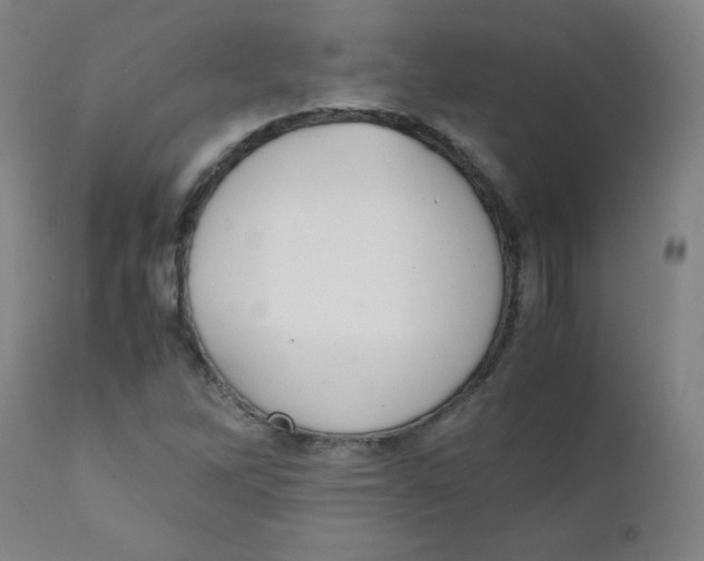 X0000111881262200908201249