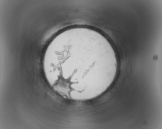 X0000111881263200908201249
