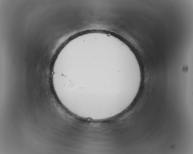 X0000111881264200908201249