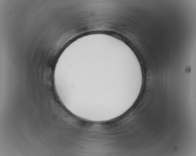 X0000111881265200908201249