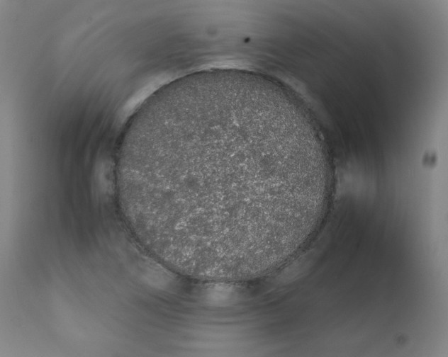 X0000111881266200908201249