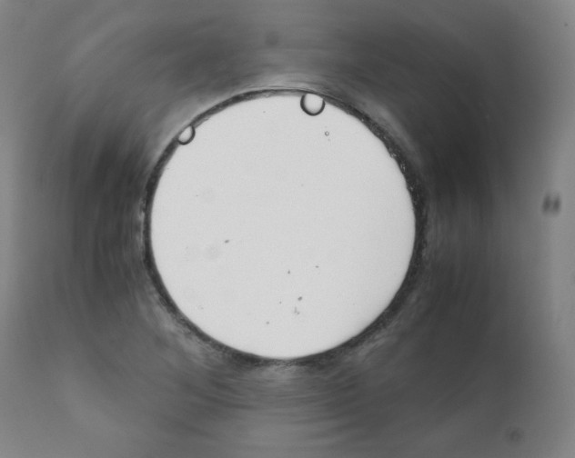 X0000111881268200908201249