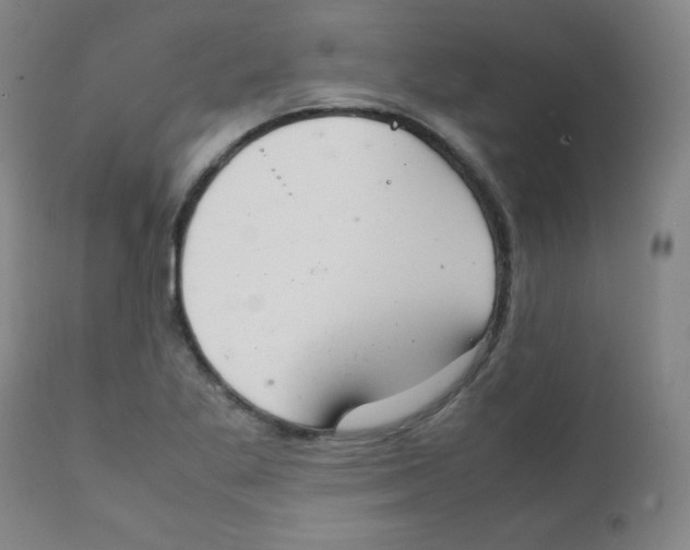 X0000111881269200908201249