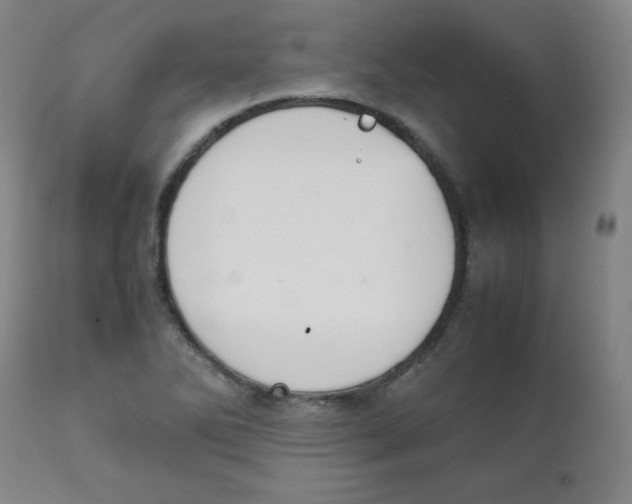 X0000111881270200908201249
