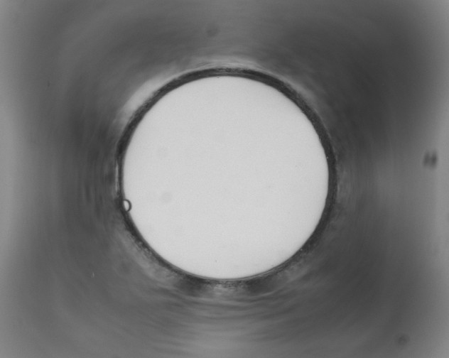 X0000111881271200908201249