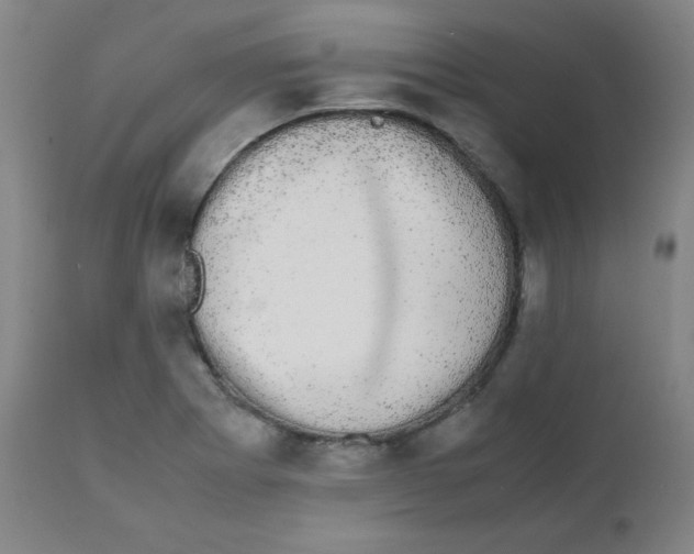 X0000111881273200908201249