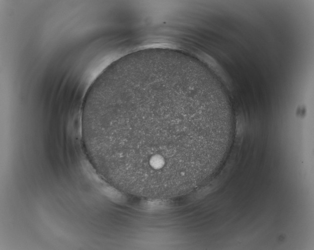 X0000111881274200908201249