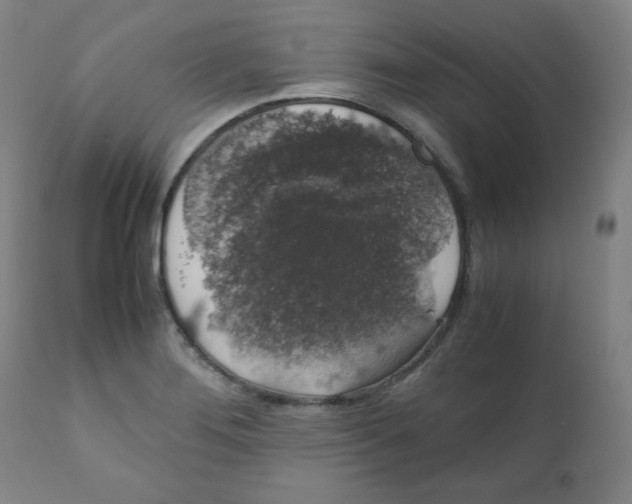 X0000111881276200908201249