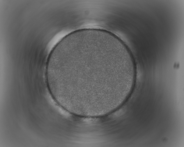 X0000111881277200908201249