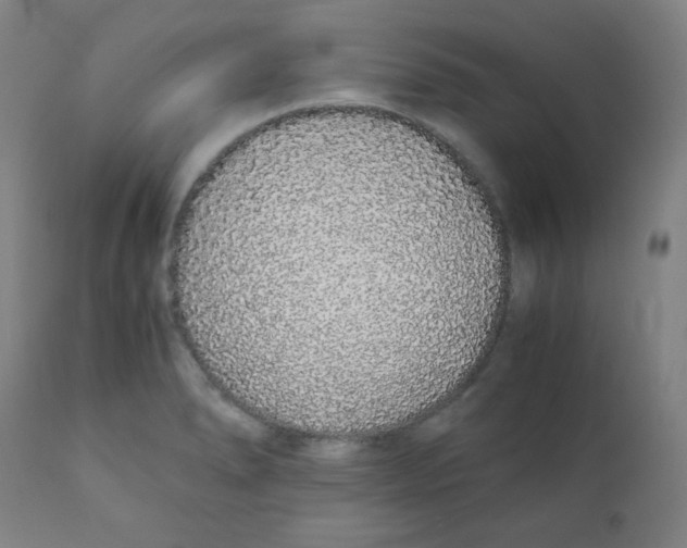 X0000111881278200908201249