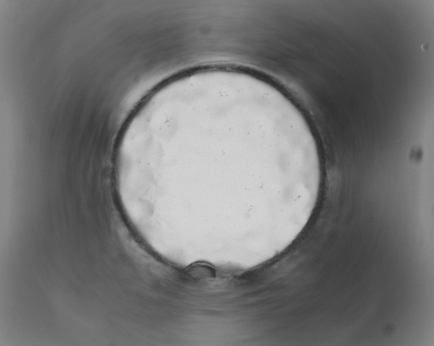 X0000111881279200908201249