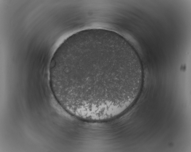 X0000111881280200908201249