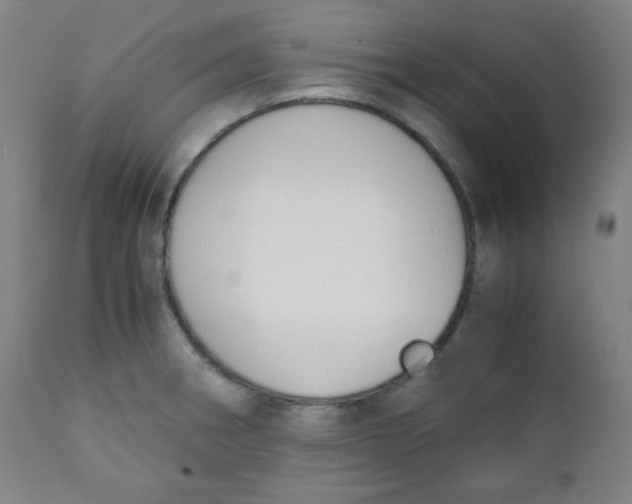 X0000111881282200908201249
