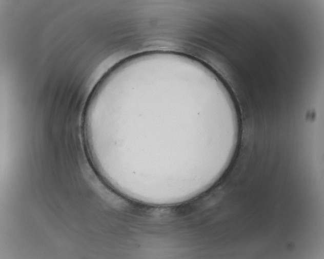 X0000111881283200908201249