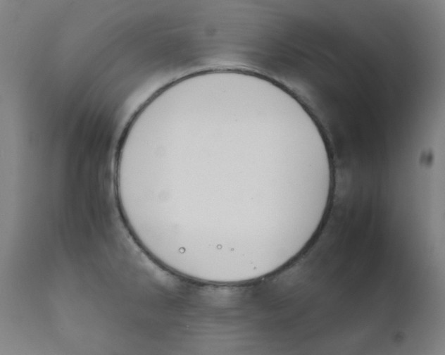 X0000111881286200908201249