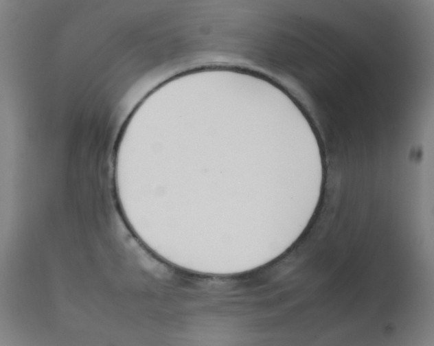 X0000111881287200908201249