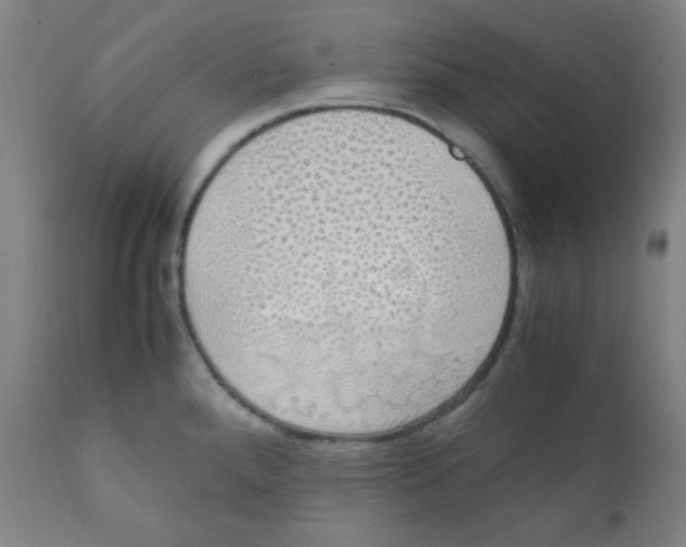 X0000111881288200908201249