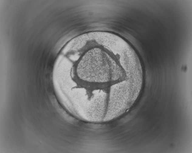 X0000111881289200908201249