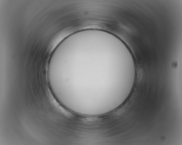 X0000111881290200908201249