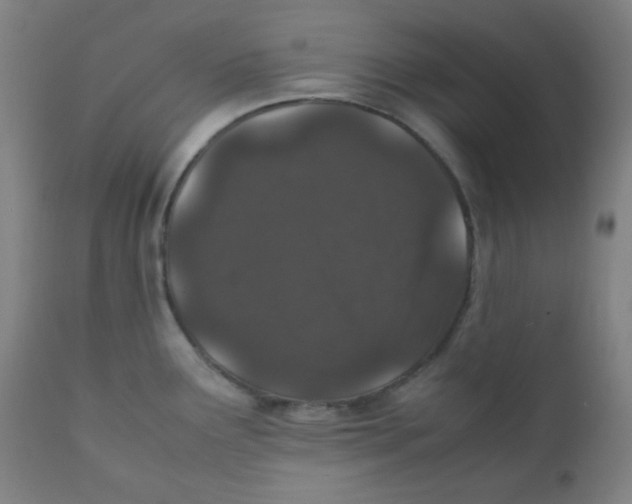 X0000111881291200908201249