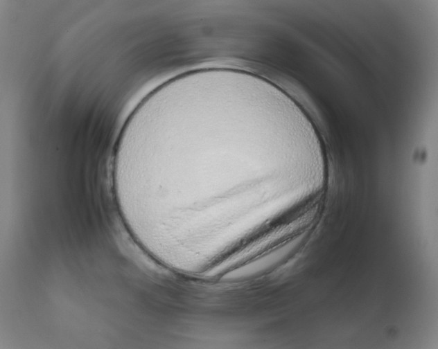 X0000111881292200908201249