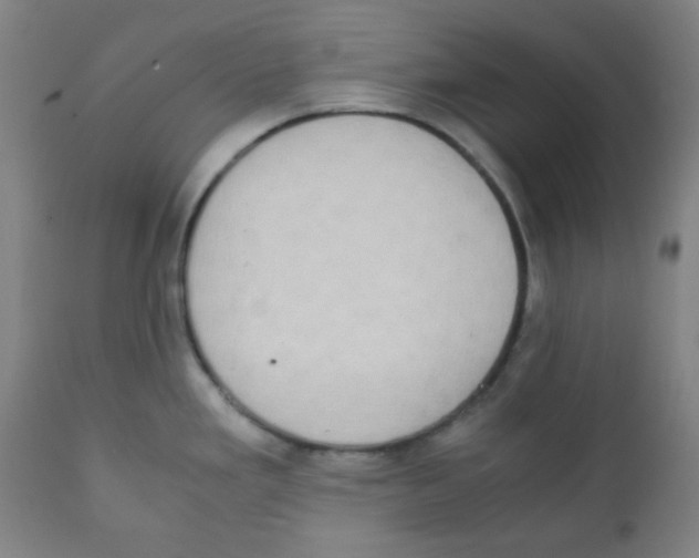 X0000111881293200908201249