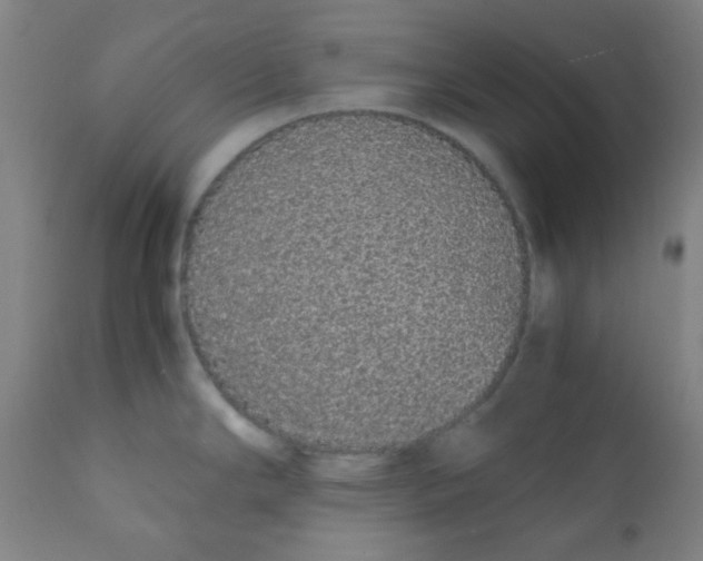 X0000111881294200908201249