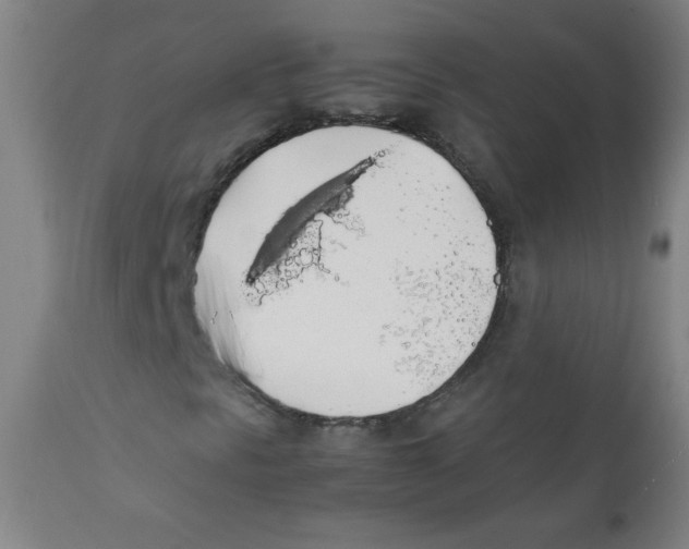X0000111881297200908201248