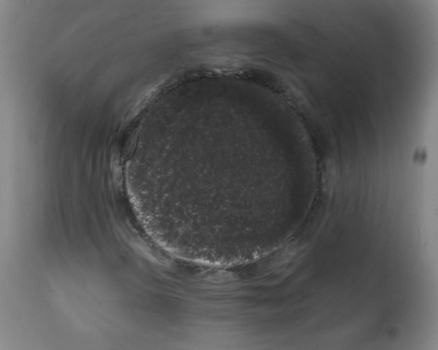 X0000111881298200908201248