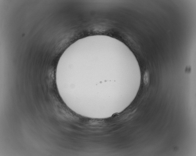 X0000111881299200908201248