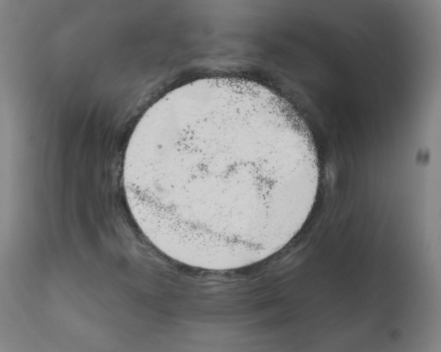 X0000111881300200908201248