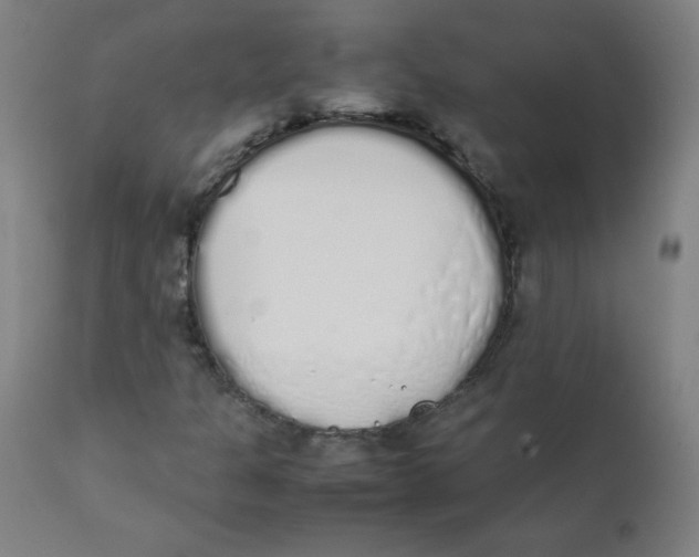 X0000111881301200908201248