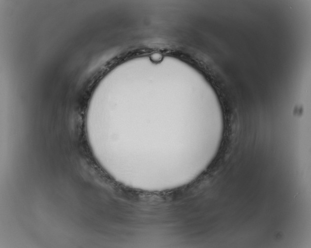X0000111881302200908201248