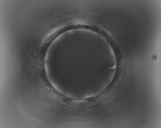 X0000111881303200908201248