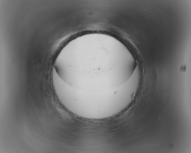 X0000111881304200908201248