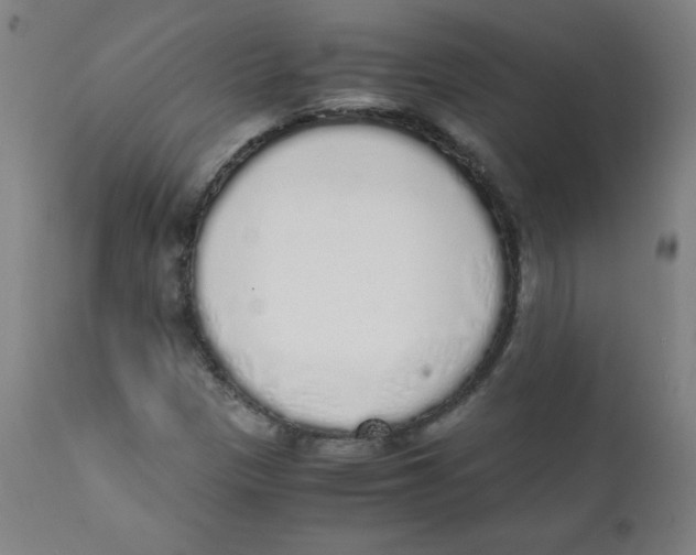 X0000111881305200908201248