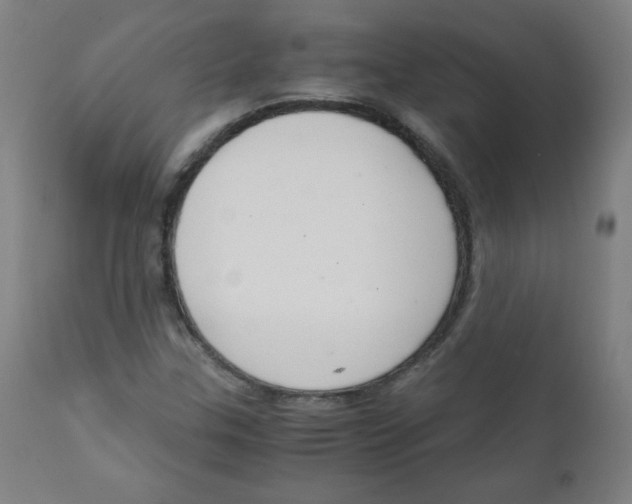 X0000111881307200908201248