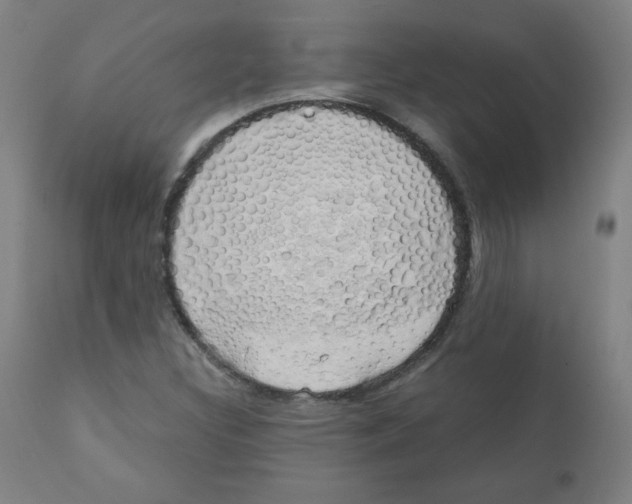 X0000111881308200908201248