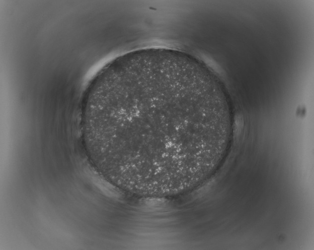 X0000111881310200908201248