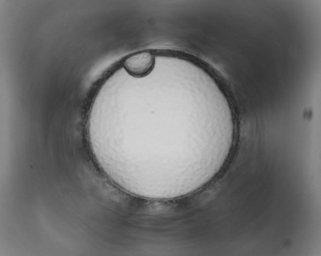 X0000111881311200908201248