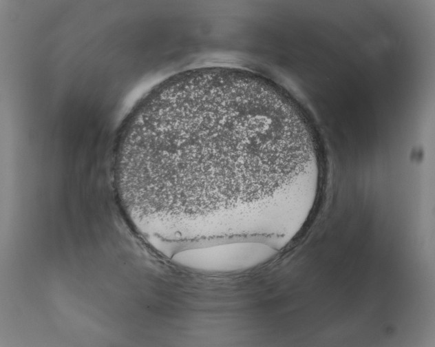 X0000111881312200908201248