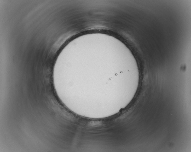 X0000111881313200908201248