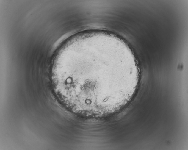 X0000111881314200908201248