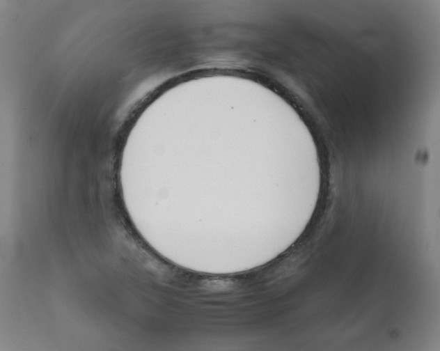 X0000111881315200908201248