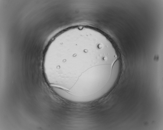 X0000111881316200908201248