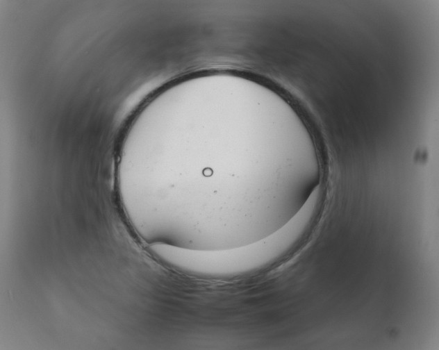 X0000111881317200908201248