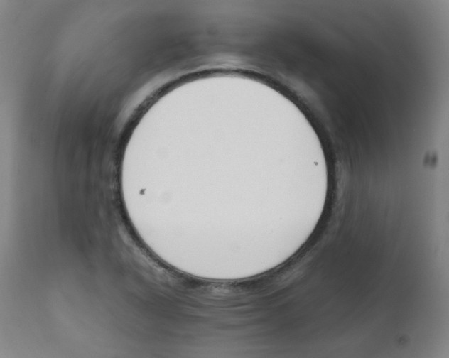 X0000111881318200908201248