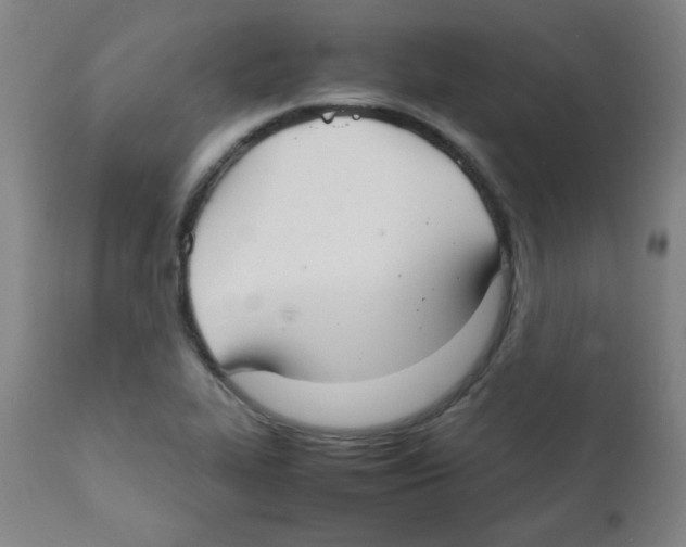 X0000111881319200908201248