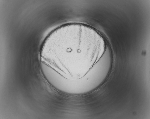 X0000111881320200908201248